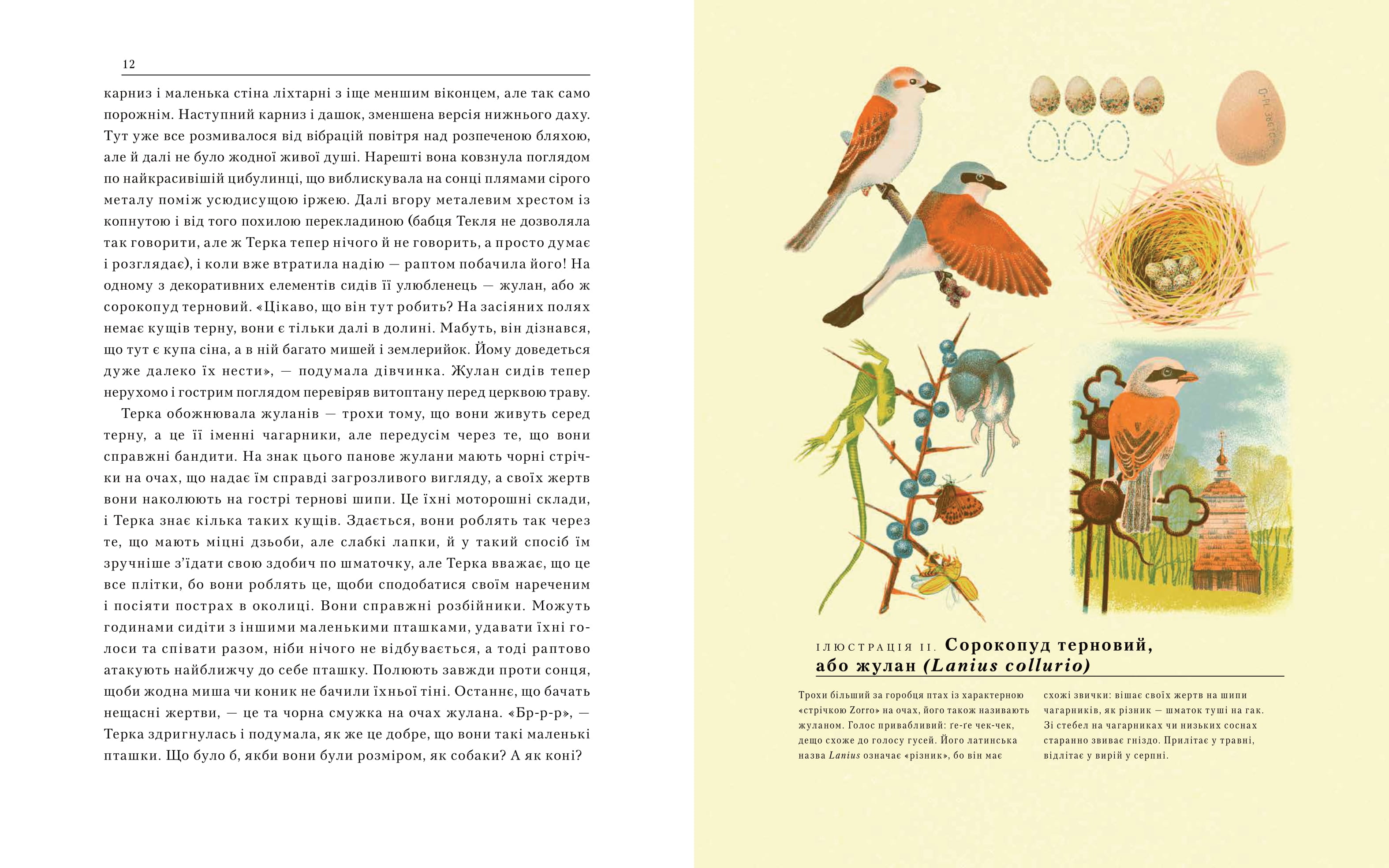 Books XXI - File