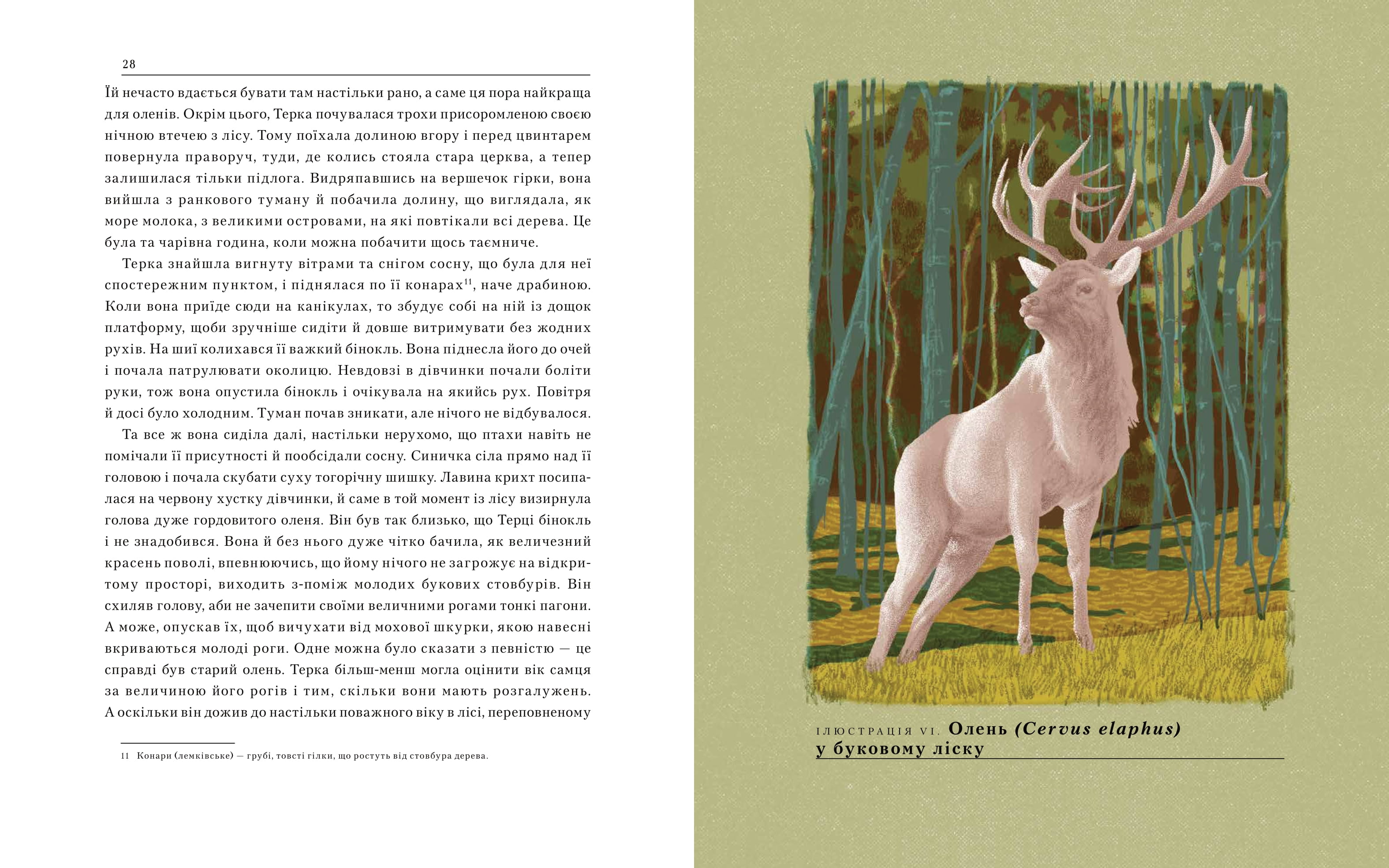 Books XXI - File